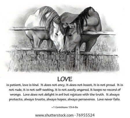 Pencil Drawing of Horses with Bible Verse About Love