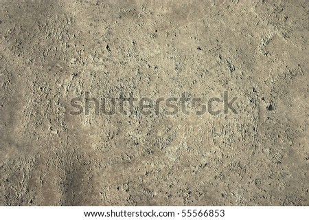 concrete floor texture. stock photo : Concrete floor