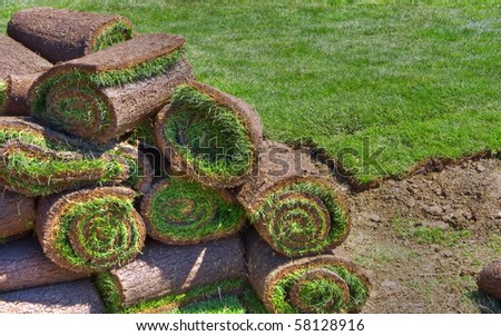 lawn, grass-plot in the rolls