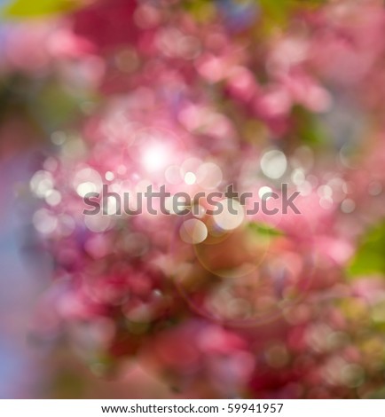 stock photo Flower bokeh abstract light background