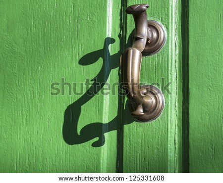 Green door with old door knocker and shadow