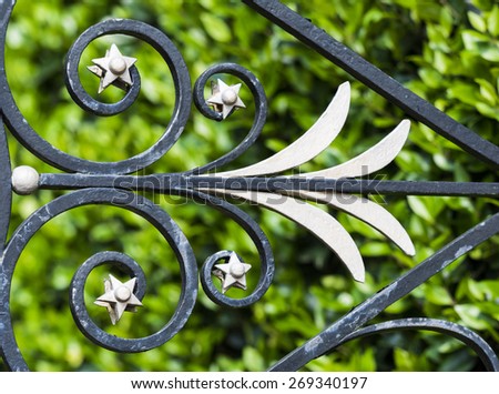 Elaborate wrought iron design on fence in Charleston, South Carolina with garden in background.