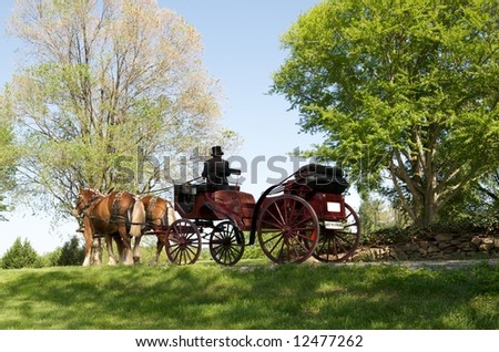 Horse carriage drawn by two Clydesdale horses waiting for wedding party