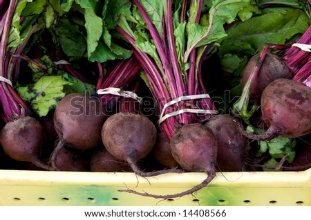 Just picked organically grown beets at local farm market