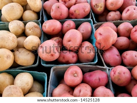 Just dug small white and red potatoes at local farm market