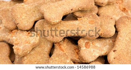 Fresh baked gourmet dog biscuits in shape of bones