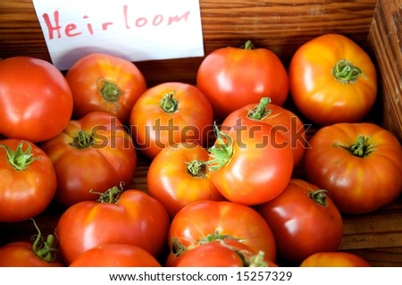 Horizontal photo group of heirloom, organically grown tomatoes at local farm market