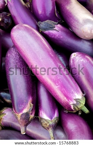 Horizontal photo of just picked and very purple eggplants at local farm market in Leesburg, Virginia