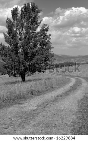 Vertical black and white photo of old country road with Blue Ridge mountains of Virginia in background