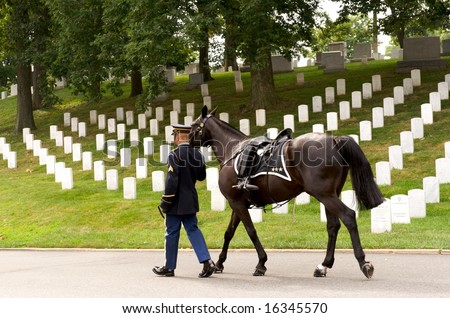 Horizontal photo of riderless horse with boot reversed in stirrup being led in funeral procession at Arlington National Cemetery