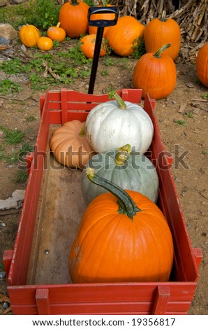 Vertical photo of wagon willed with variety of pumpkins