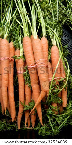 Bunch of just harvested carrots at local farm market