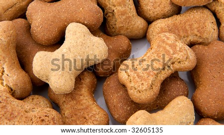 Close-up of gourmet dog biscuits in shape of bone