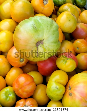 Group of just harvested heirloom tomatoes at local farm market