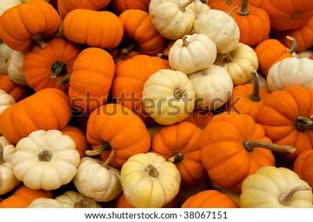 Large pile of pumpkins ready for holidays at local farm market