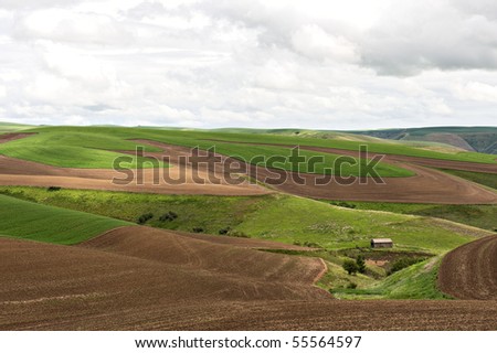 Horizontal photo of old barn tucked into the rolling wheat fields of the Palouse