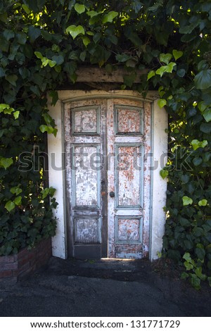 Beautiful Hidden Painted Peeling Door to Home in  Carmel California