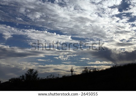 Silhouette of Cactus Against a Cloudy Western Sky