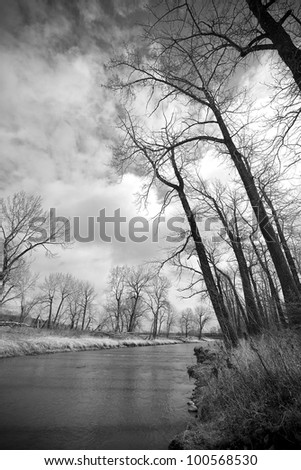 Black and white image of a gentle flowing stream in the trees with storms clouds looming