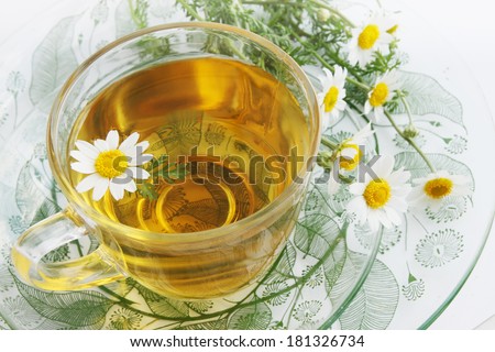herbal tea of chamomile drug, healing drink