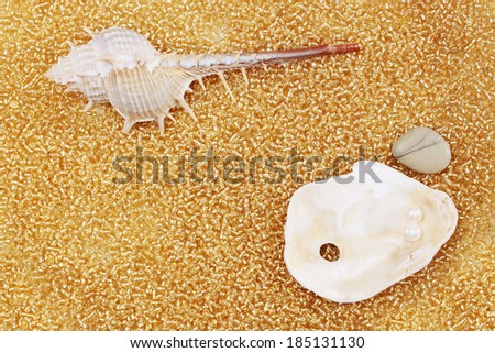 Marine background, golden sand rocks and shells