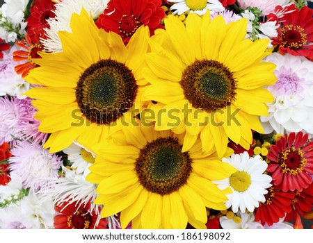 Large bouquet of autumn flowers dahlias and sunflowers