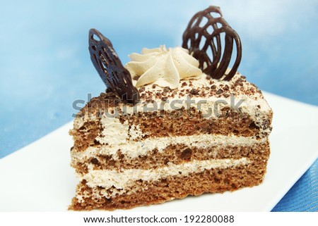 A delicious chocolate cake with butter cream