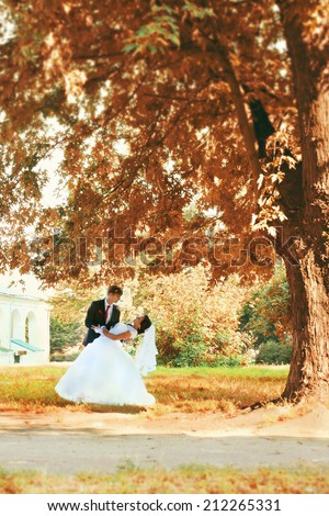 Bride and groom dancing under a big tree