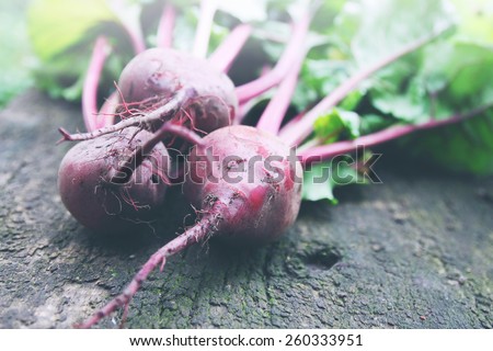 Fresh red beet on the wooden board