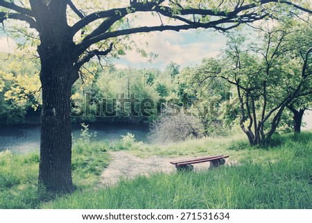 Spring Landscape. Bench under a tree by the river