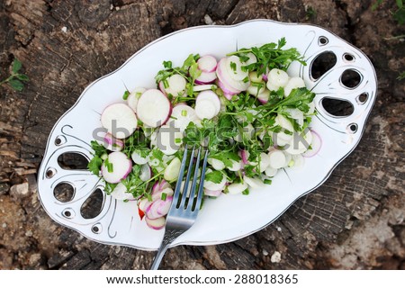 Salad of radish and watercress salad