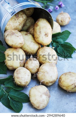 Clooney young potatoes with a potato flower