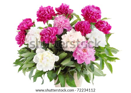 stock photo Large bouquet of pions on the white