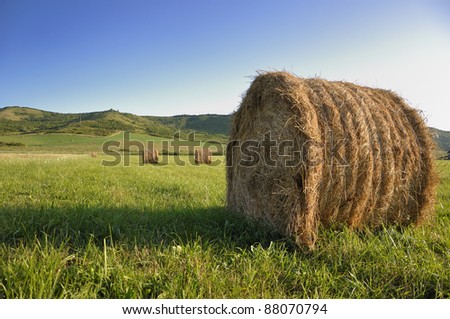 Bales of dry grass on the farm/Bales of dry grass/Bales of dry grass