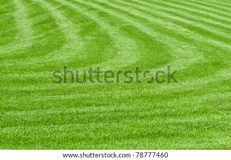 huge green lawn in the city park