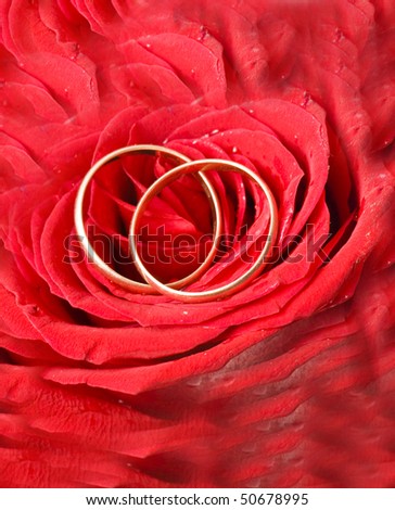 black and red wedding backdrop