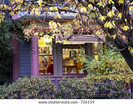 Colorful storefont window in old victorian house trimmed in purple with festive lights in trees at dusk.