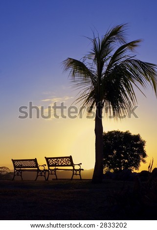 The warm glow of a tropical sunset silhouettes a palm tree and benches