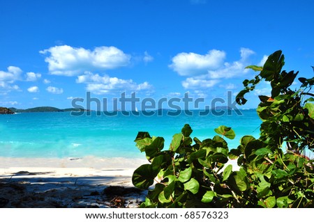 Trunk bay beach, St. John , US Virgin Islands