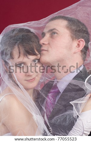 Hugging Couple newlyweds behind wedding veil  isolated