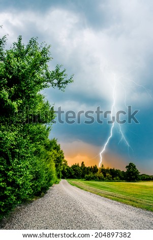Thunder and lightning hits trees