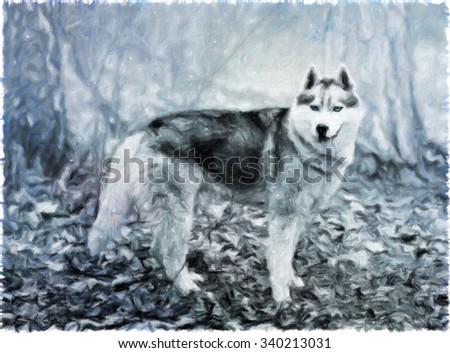 Dog, Siberian Husky with blue eyes standing in the woods on a cold autumn fallen brown leaves. It is executed in style of modern impressionism. Painting imitation
