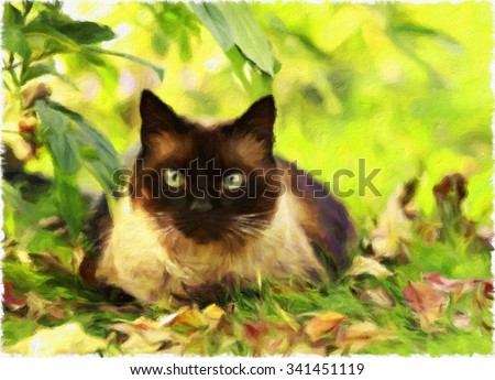 The beautiful brown cat, Siamese, with blue-green eyes lies in a green grass and yellow leaves. Style of modern impressionism. Painting imitation.