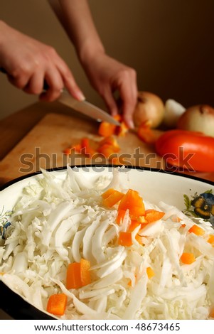 Salad from cabbage and a paprika. On a back background the cook cutting