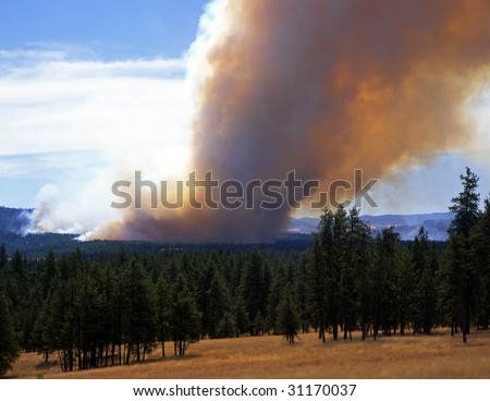 A forest fire in Wallowa-Whitman National Forest, Oregon.