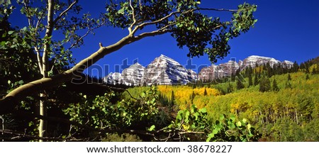The twin peaks of the Maroon Bells bordered by the branch of an aspen tree, photographed during the autumn season.