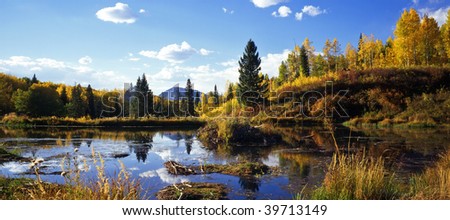 A beaver pond along the Kebler Pass Road in Gunnison National Forest in Colorado.