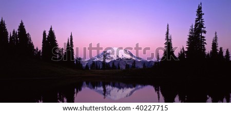 Mt. Rainier reflecting in Tipsoo Lake in Mt. Rainier National Park located in Washington State.