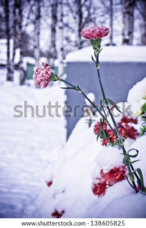 Fresh flowers on the grave of winter.