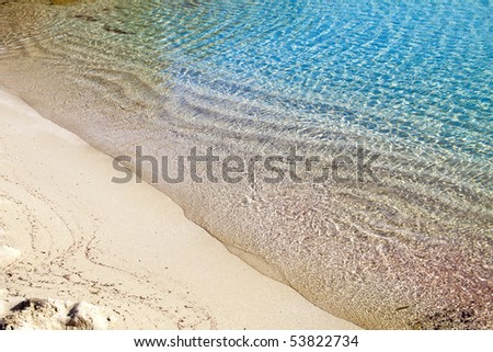 Sea bed in the Beach of Mallorca, alcudia